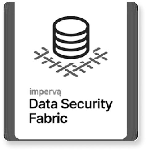 Database Security