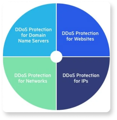 DDoS Protection